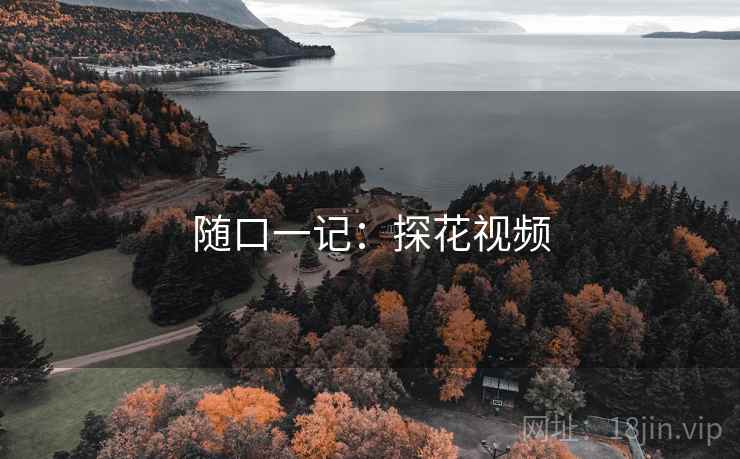 随口一记：探花视频
