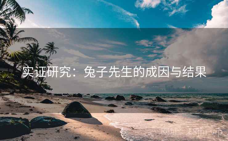 实证研究:兔子先生的成因与结果